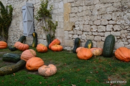 canoes,Combarel,canal automne,Issigeac,décos couronne,citrouille 158.JPG