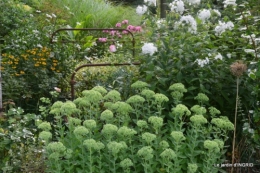 bouquet d ete,Plambouissin,grotte ,Erignac,Campagne,Julie 110.JPG