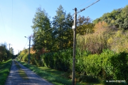 jardin automne,voisinage,canal 160.JPG