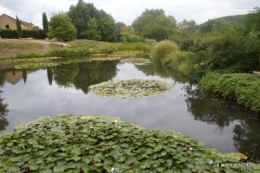 orage,puces,bouquet,Anniv.Ines,Brantome,Jardins d'eau 259.JPG