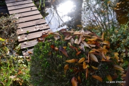 canal,automne,tonte des feuilles 020.JPG