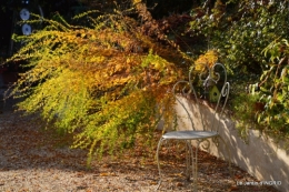 les arbres en automne,cabane 059.JPG