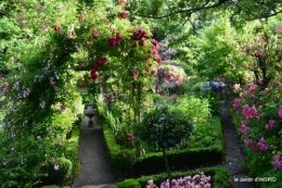 jardin pluie,Inès,Bébés cygnes,bouquet,canal 078.JPG