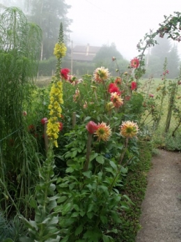 été