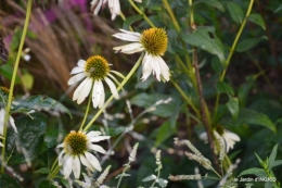 Fleurettes,Dordogne,jardin 130.JPG