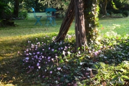 male ancienne,septembre jardin,couronne,bouquet 091.JPG