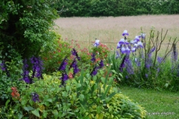 maison,jardin Bernadette,et jardin Claudine 087.JPG