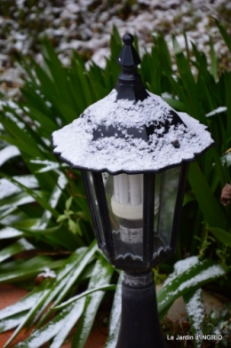 oiseaux première neige 019.JPG