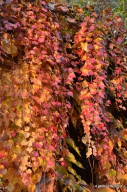 canal,automne,tonte des feuilles 074.JPG