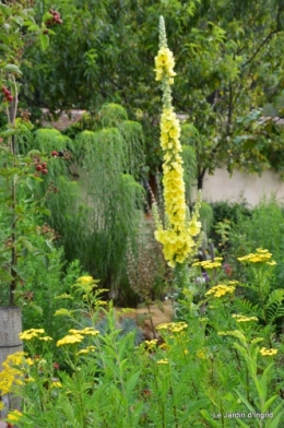 tournesols,pt jardin,nénuphard,libellules,lavande bouquet,carava 040.JPG