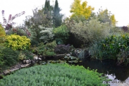 jardin de Marie,éoliennes,Ciron,Angles,Fontgombault 087.JPG