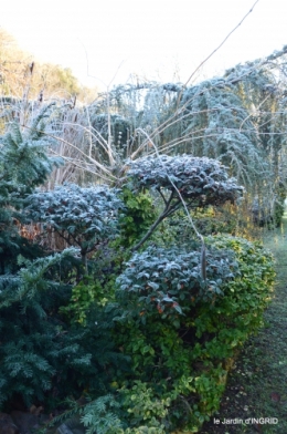 colline,jardin givré 023.JPG