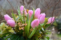 Givre,dentelles,helebores,crocus 061.JPG