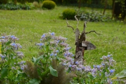 jardin confiné ,osier,magnolia jaune 037.JPG