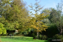 citrouille fleurie,décos jardin,automne 069.JPG