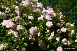 mai au jardin,les filles 178.JPG