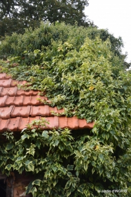 chez Willy,jardin 096.JPG