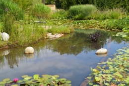 les jardins d'eau de Carsac 013.JPG