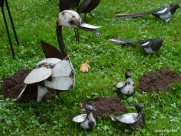 Neuvic,jardin,champignons canal 130.JPG