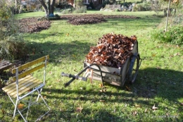 givre,dégats gelée 036.JPG