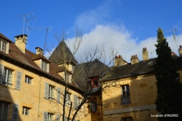 décos Noel au jardin,Sarlat,étoile en osier 085.JPG