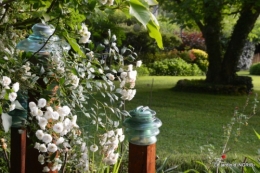 inondation,jardin,oeufs cygnes,chez Nathalie 028.JPG