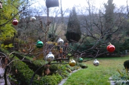 décos Noel au jardin,Sarlat,étoile en osier 202.JPG