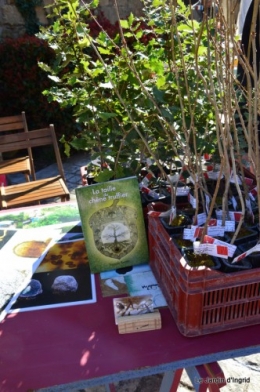 journée de l'arbre