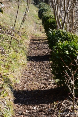 bibliotèque,colline 018.JPG