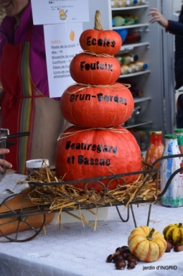 fête de la citrouille,jardinage,jardin 050.JPG