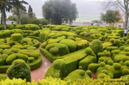 caltha , les 20 de Marqueyssac 095.JPG