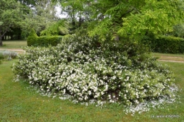 maison,jardin Bernadette,et jardin Claudine 036.JPG