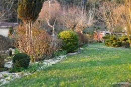 paillage,primevères,jonquilles,jardin 085.JPG