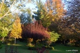 Issigeac,citrouilles ,rhus,automne,jardin 101.JPG