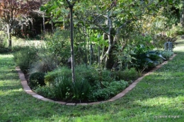 jardin octobre 093.JPG