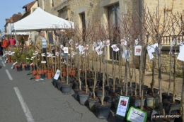 courrier,fête de l'arbre,mimosa,filles 048.JPG