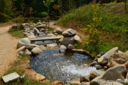 les jardins d'eau de Carsac 115.JPG