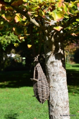 jardin octobre,chez Marylaur,Arnaud ,Ariane,la mer,sauges 202.JPG