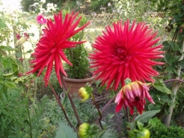 été