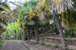la Roque Gageac,Ines,jardin 023.JPG
