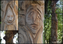 2017-08-17 manthe religieuse,Lalinde marché,Land art au Colombier.jpg