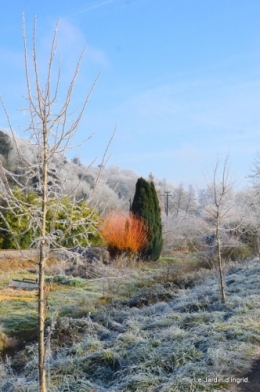 givre,maison,oiseaux 118.JPG