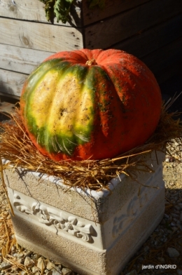 fête de la citrouille,jardinage,jardin 083.JPG