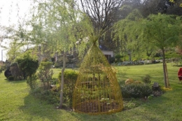 tipi,narcisse,prunus en fleurs 010.JPG