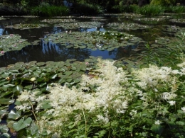 Normandie,jardin Monet,baie de Somme,chez Marylaur 217.JPG