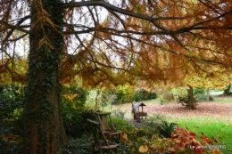 les arbres en automne,cabane 033.JPG