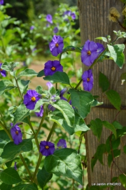 les jardins d'eau de Carsac 021.JPG