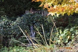 automne