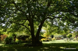 panier,composition,St Astier,jardin,lavande 094.JPG