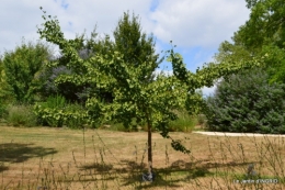 les jardins d'eau de Carsac 028.JPG